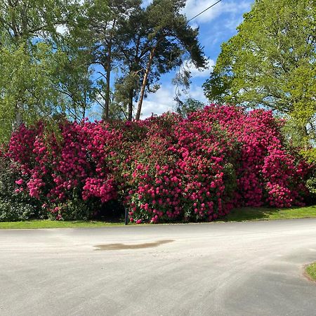 Hare Lodge Woodhall Spa Luaran gambar